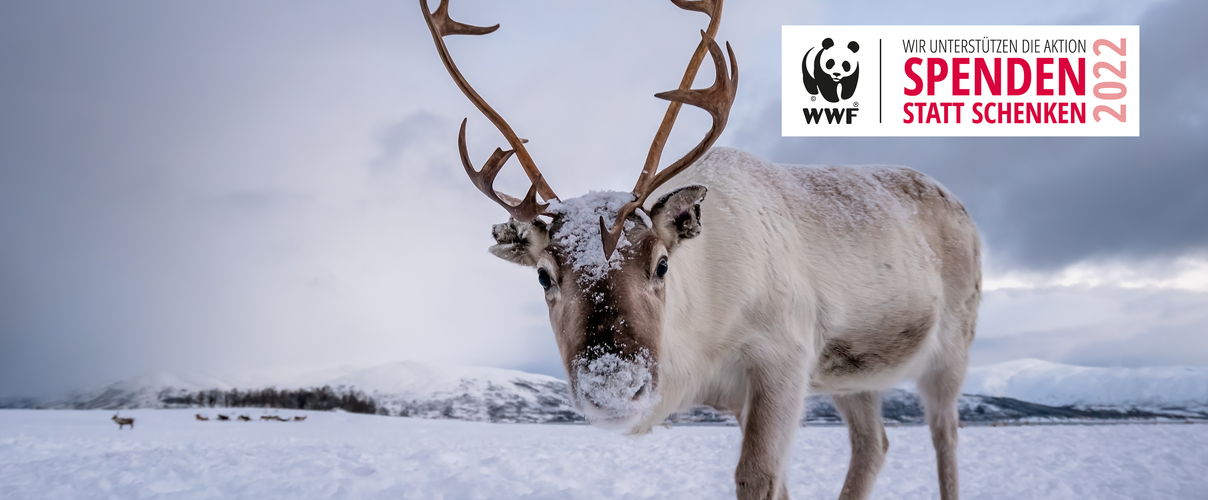 Spenden statt Schenken 2022 © pawopa3336 / iStock / Getty Images / WWF