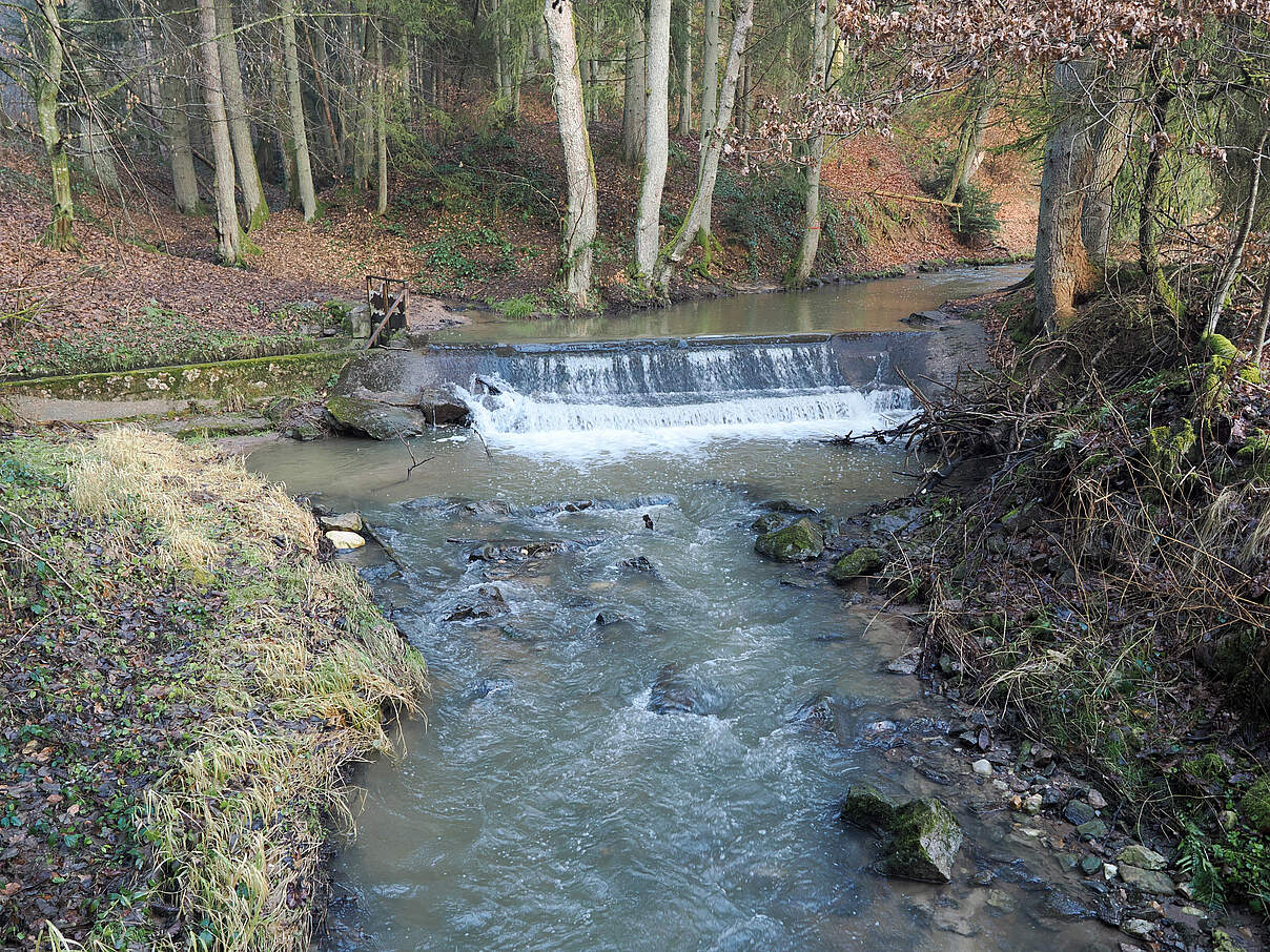 Wehr an der Schönbergmühle 