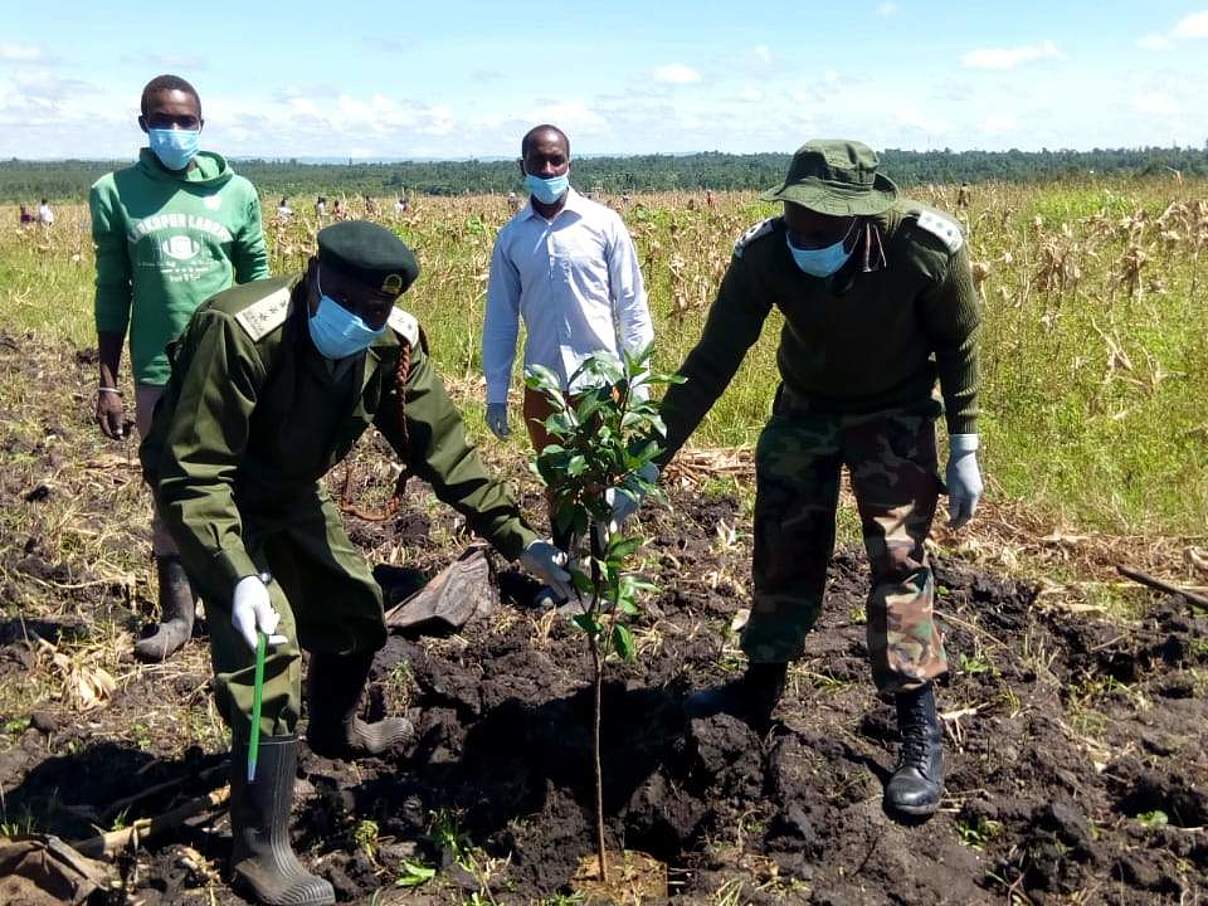 Ein Team des WWF Kenia beim Einpflanzen von Setzlingen in Chepalungu. © WWF Kenia