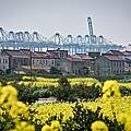 Rapsfeld vor Fabrik © Justin Jin / WWF-US