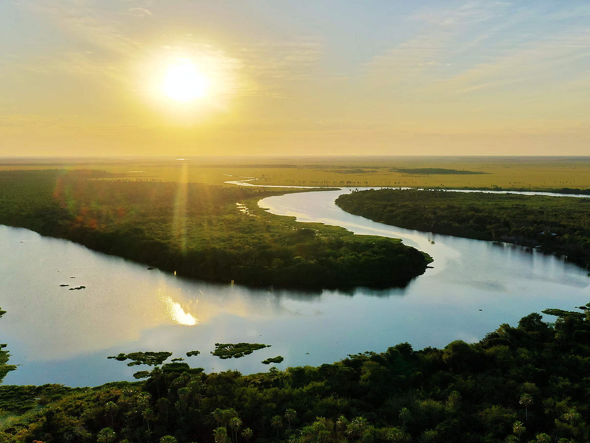 Das Pantanal bei Tres Gigantes in Paraguay © Gianfranco Mancusi / WWF-Brazil