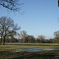 Auenwiese an der mittleren Elbe © Ralph Frank / WWF