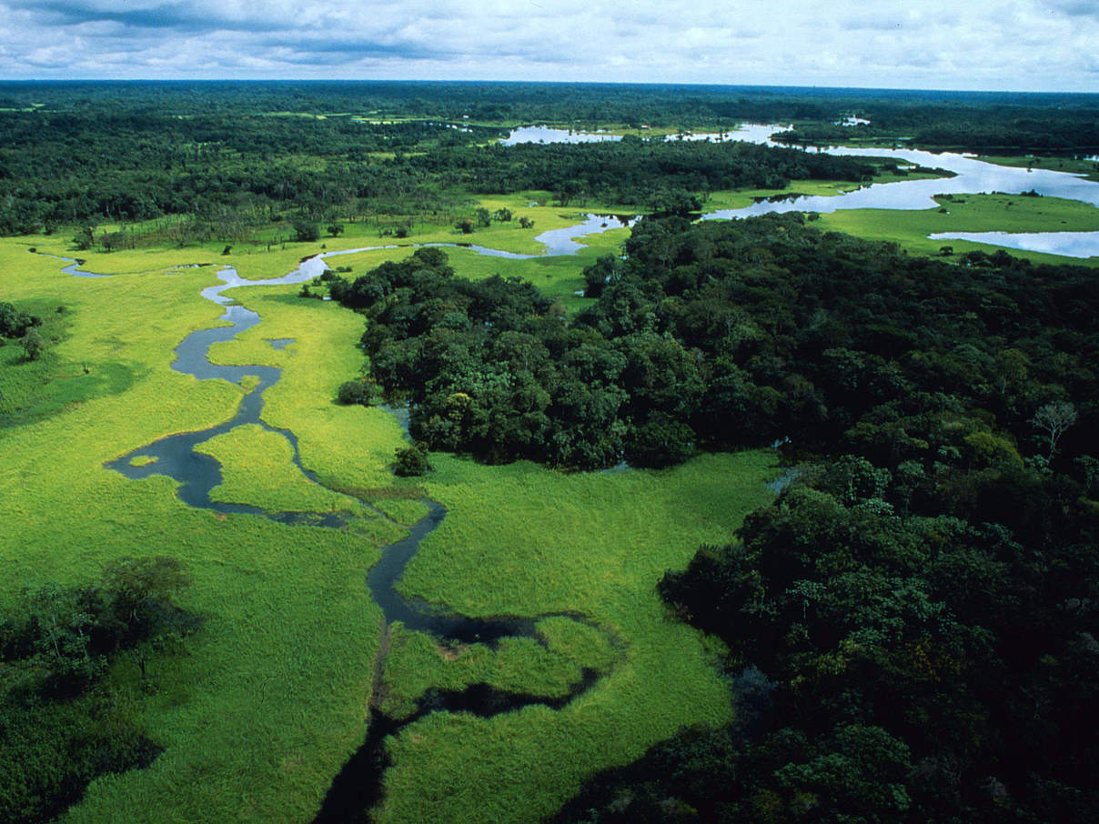 Rio Negro im Amazonas in Brasilien © Michel Roggo / WWF