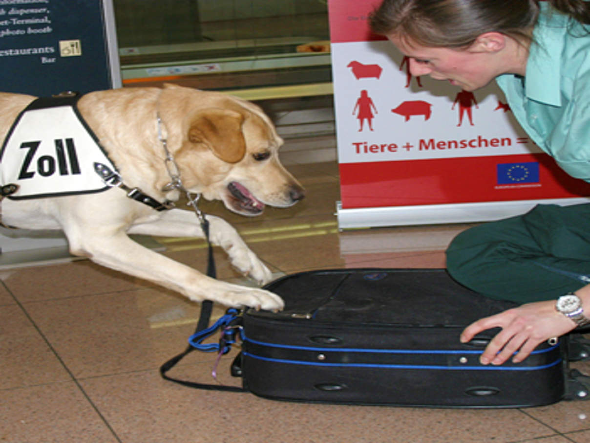 Zollhund Berry mit Zollhundeführerin Sina Tillschneider. © Sina Tillschneider / WWF