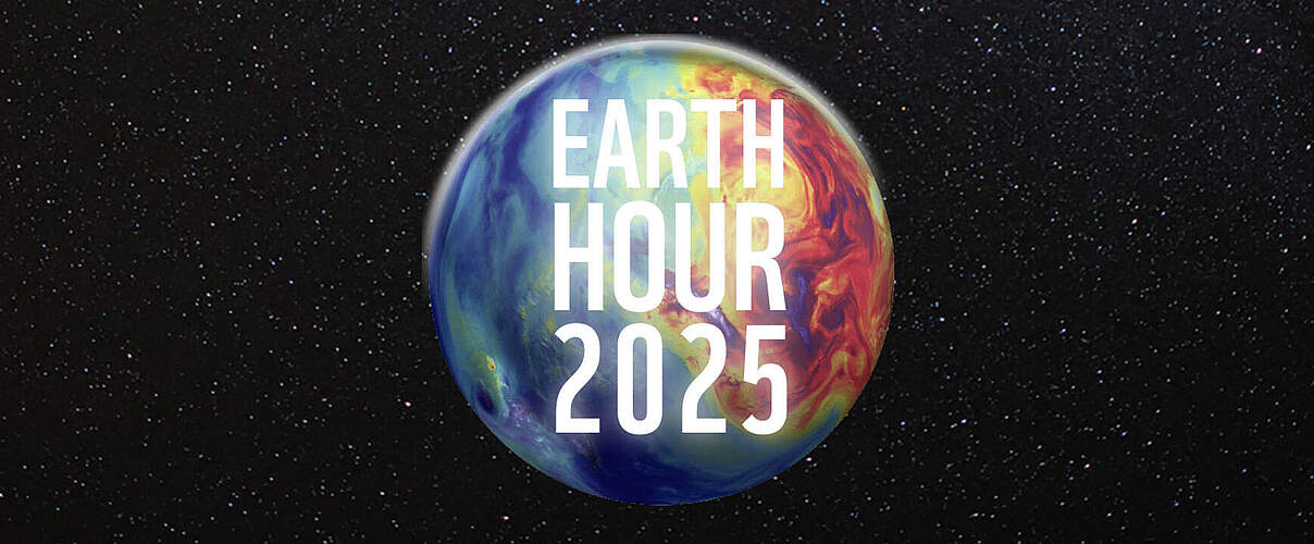 Earth Hour 2025 Key Visual © NASA / sankai / iStock