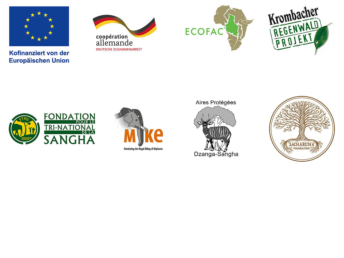 Logos der Organisationen, die unsere Arbeit in Dzanga-Sangha unterstützen