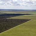 Luftbild auf ein direkt an natürliche Landschaft grenzendes Sojafeld © Adriano Gambarini / WWF-Brazil