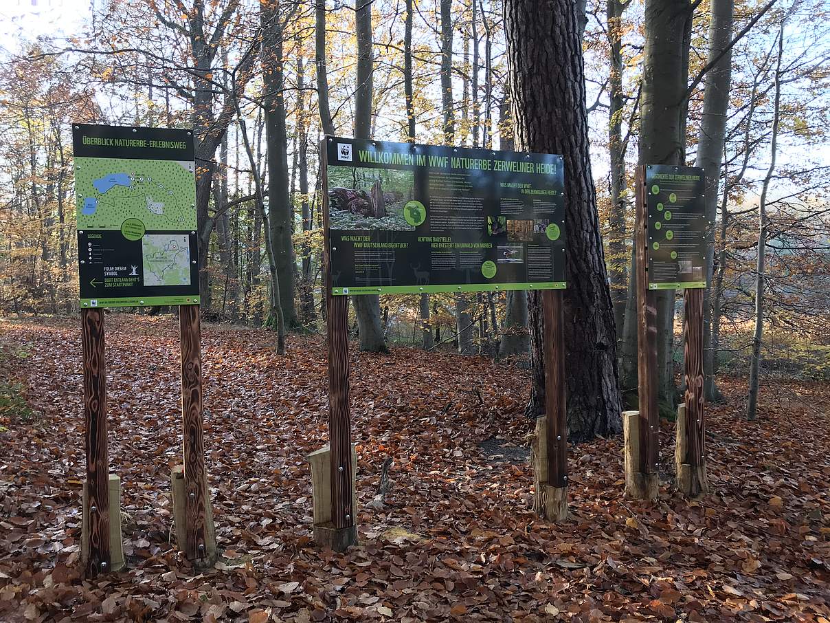 Infotafeln am Erlebnisweg Zerweliner Heide © Anet Hoppe