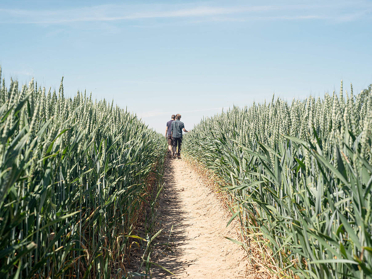 Der Betrieb des Ostsee-Landwirts 2021: Gut Groß Voigtshagen © Claudia Nir / WWF