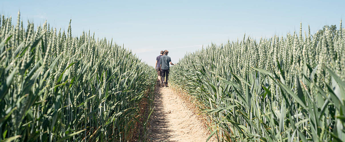 Der Betrieb des Ostsee-Landwirts 2021: Gut Groß Voigtshagen © Claudia Nir / WWF