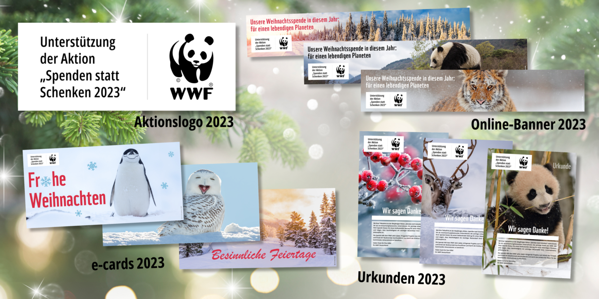Aktionsmaterialien der Spenden statt Schenken-Aktion 2023 © WWF