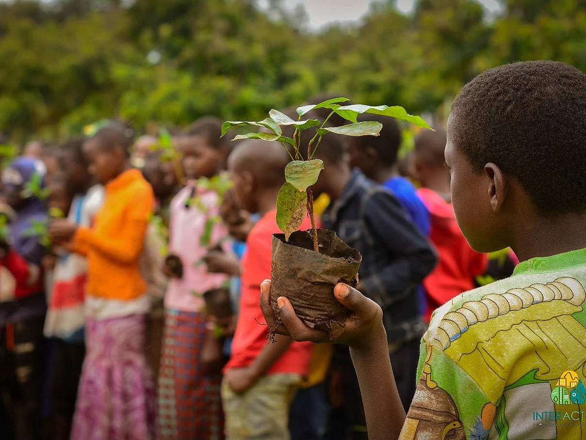 Tansania Urban Greenery © ICLEI Africa