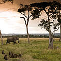 Afrikanischer Elefant in der Masai Mara in Kenia © Michael Poliza / WWF 