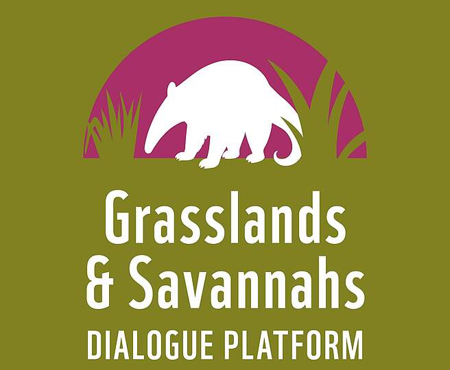 Global Grasslands and Savannahs Dialogue Platform © WWF Deutschland