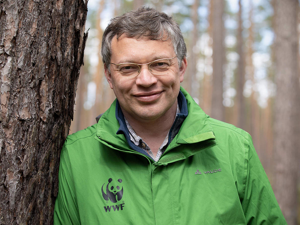 Waldexperte Albert Wotke © Sonja Ritter / WWF