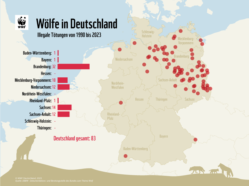 Illegale Wolfstötungen in Deutschland © WWF