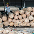 Holz-Fabrik in China © Theodore Kaye / WWF China