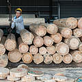 Holz-Fabrik in China © Theodore Kaye / WWF China