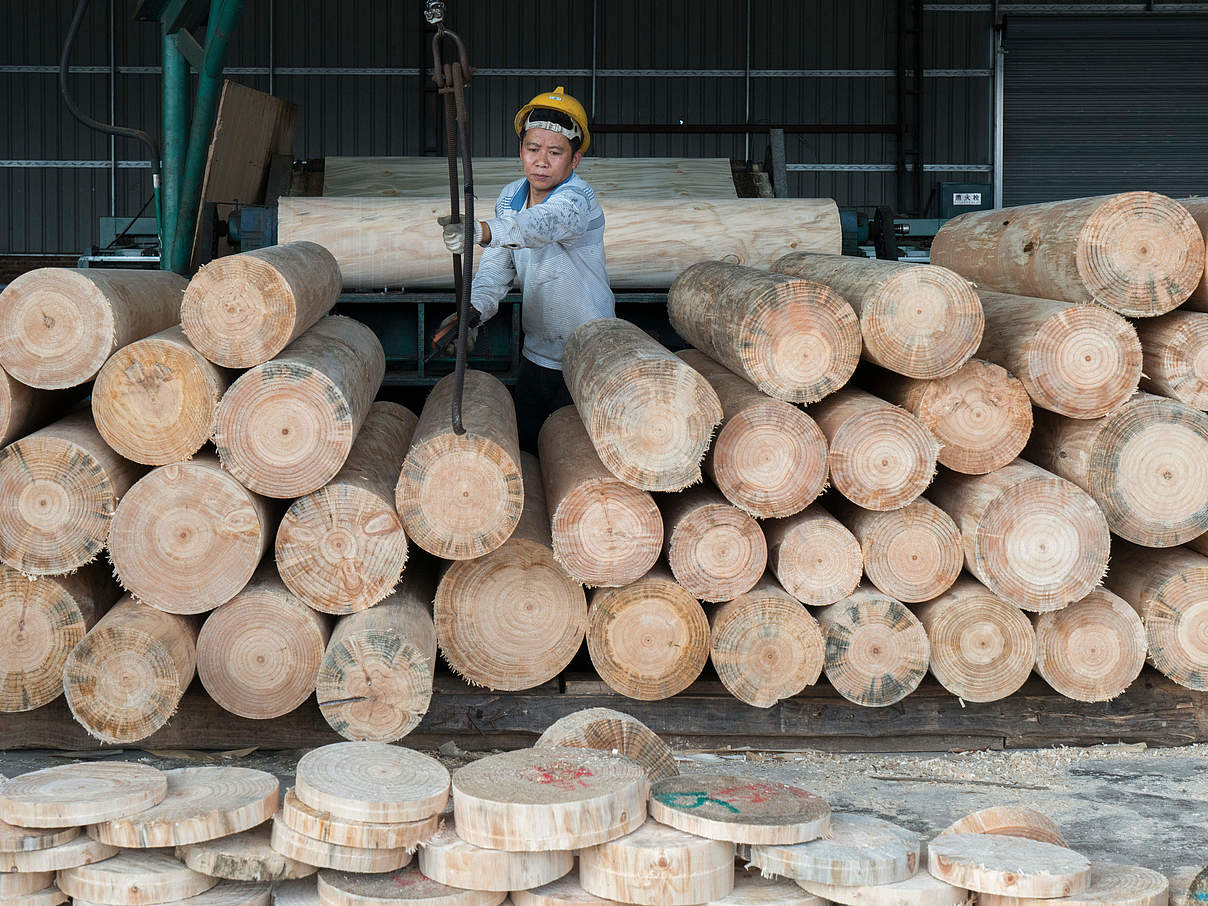 Holz-Fabrik in China © Theodore Kaye / WWF China