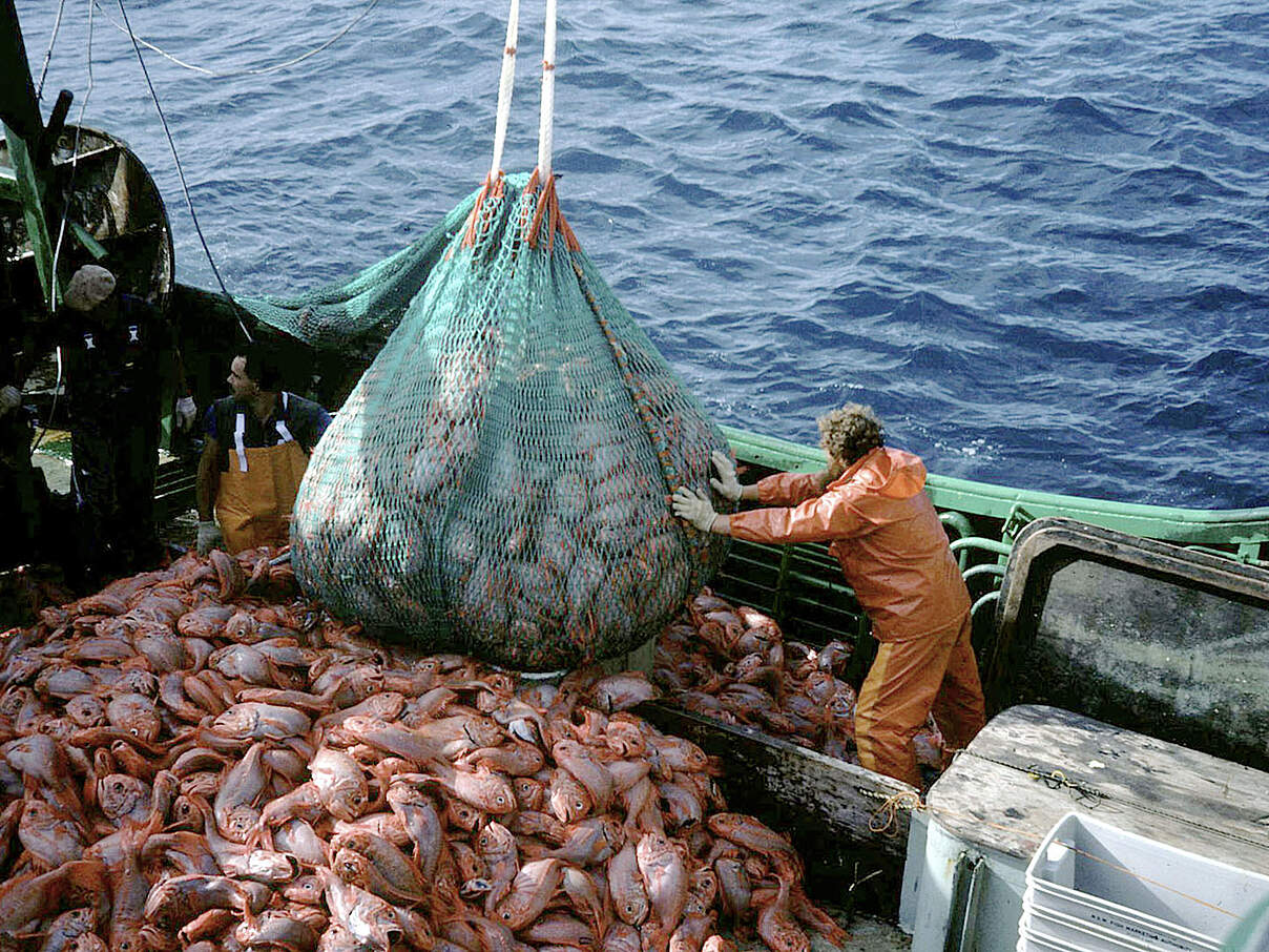 Industrieller Fischfang