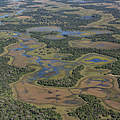 Das Pantanal © Jaime Rojo / WWF-US