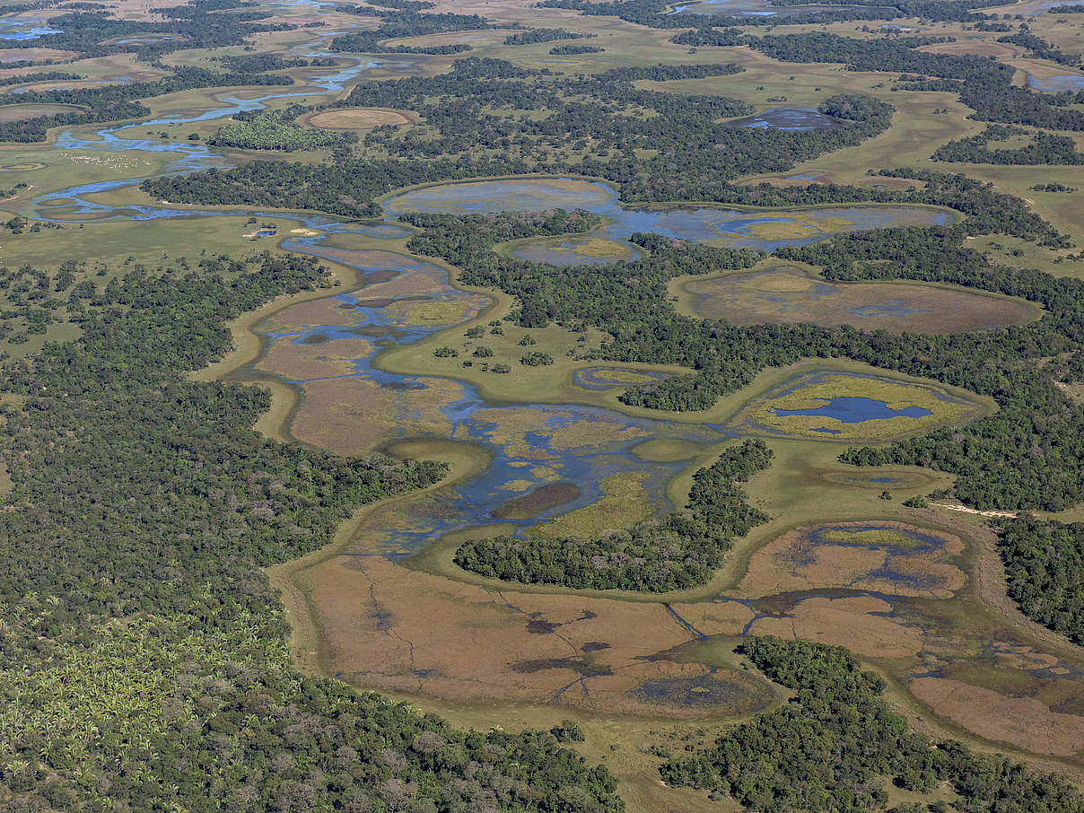 Das Pantanal © Jaime Rojo / WWF-US