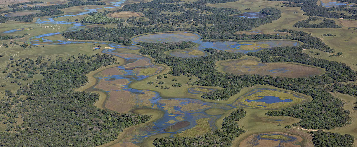 Das Pantanal © Jaime Rojo / WWF-US