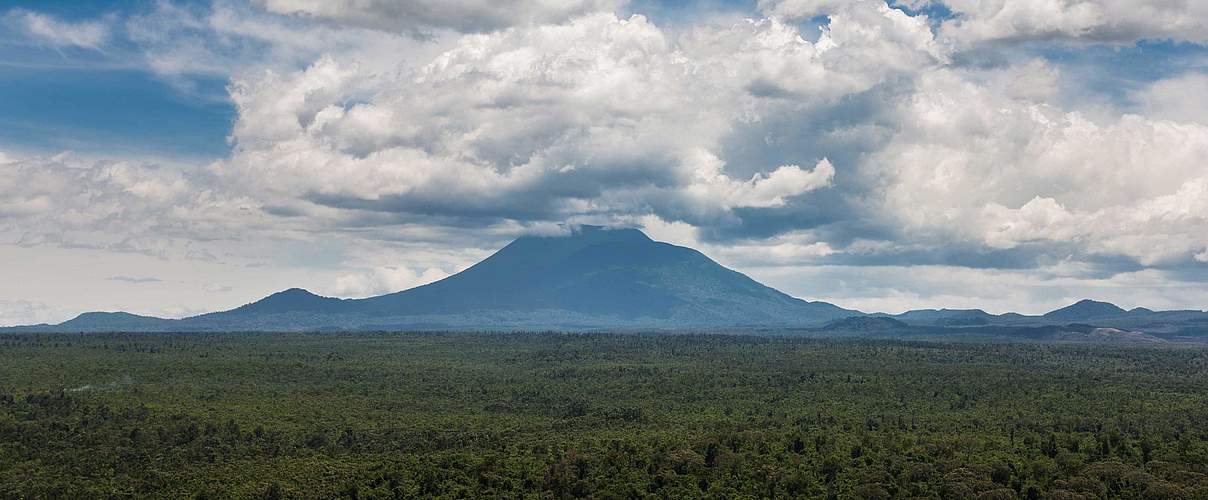 Virunga Nationalpark © Brent Stirton / Reportage by Getty Images / WWF