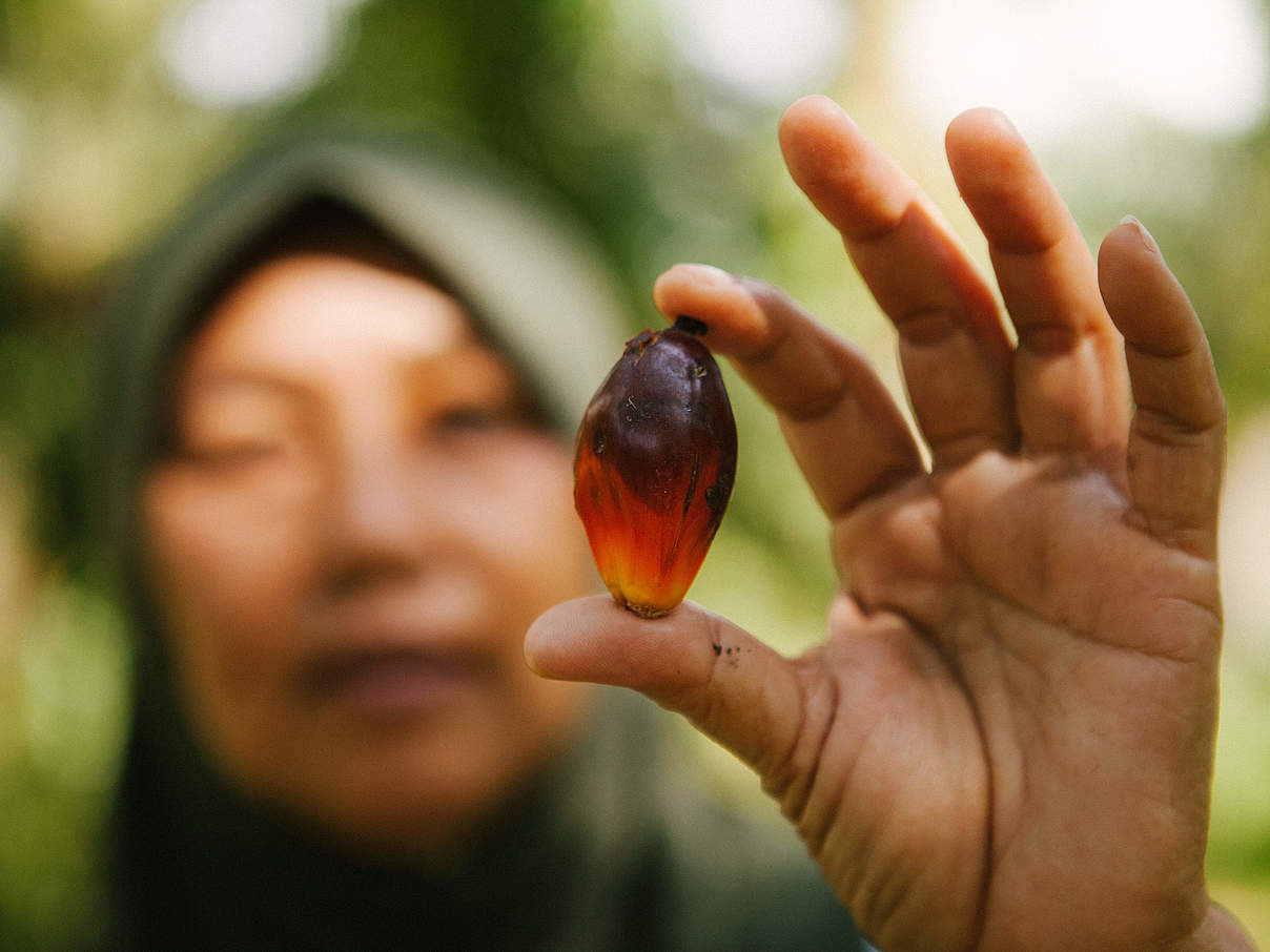 Palmöl ist das Symbol für unsere Konsumgesellschaft © Mazidi Abd Ghani / WWF Malaysia