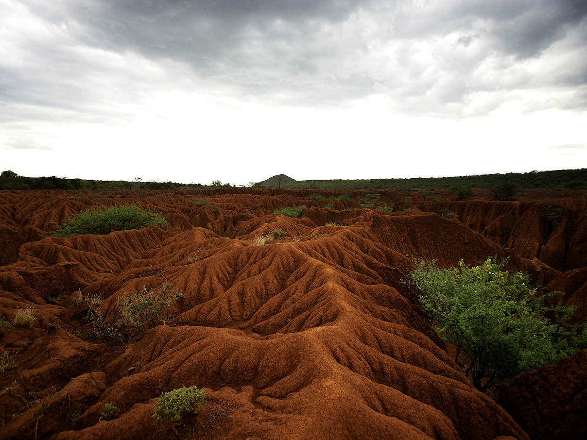 Großflächige Bodenerosion nach Waldzerstörung am Bogoria-See in Kenia. © Brent Stirton / Getty Images