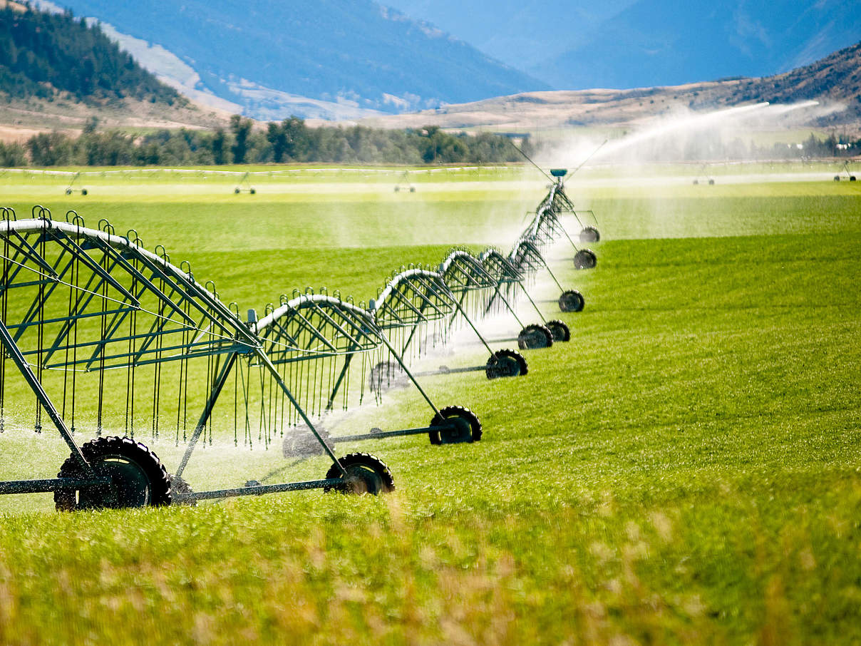 Bewässerung auf dem Feld © tothemoonphoto / iStock / Getty Images Plus