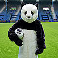 Der Panda beim SC Freiburg © Arno Kohlem / WWF