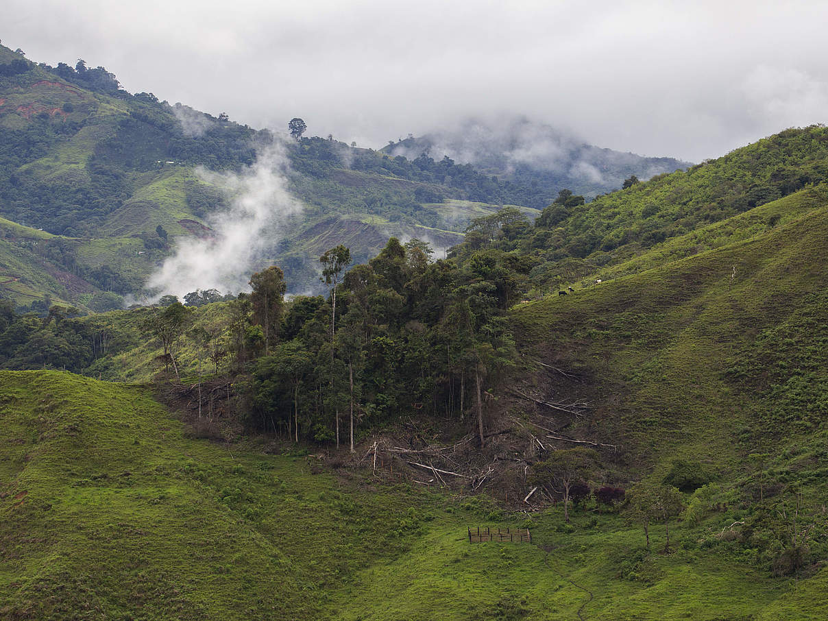 Die kolumbianischen Waldtäler © Pablo Mejía / WWF Colombia