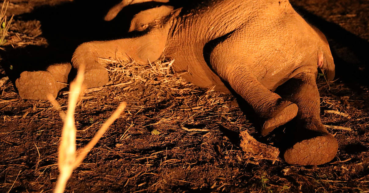 Dürre in Kenia: Retten wir eine ganze Generation