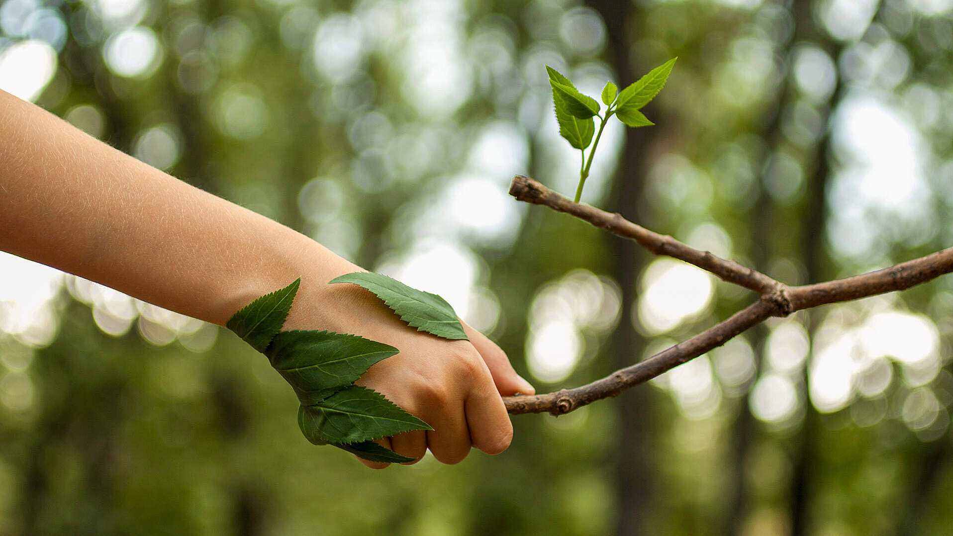 © NikiLitov / iStock / Getty Images