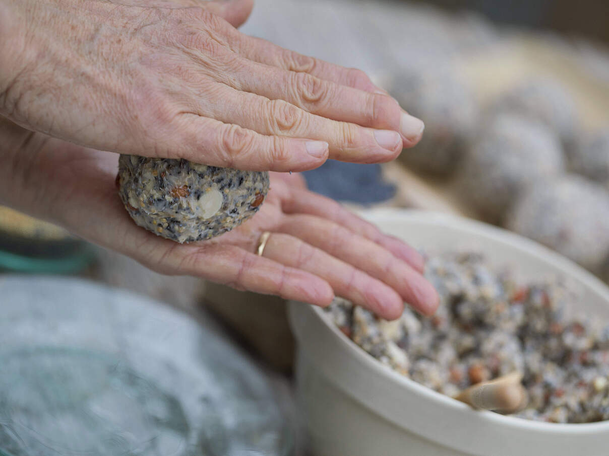 Meisenknödel formen