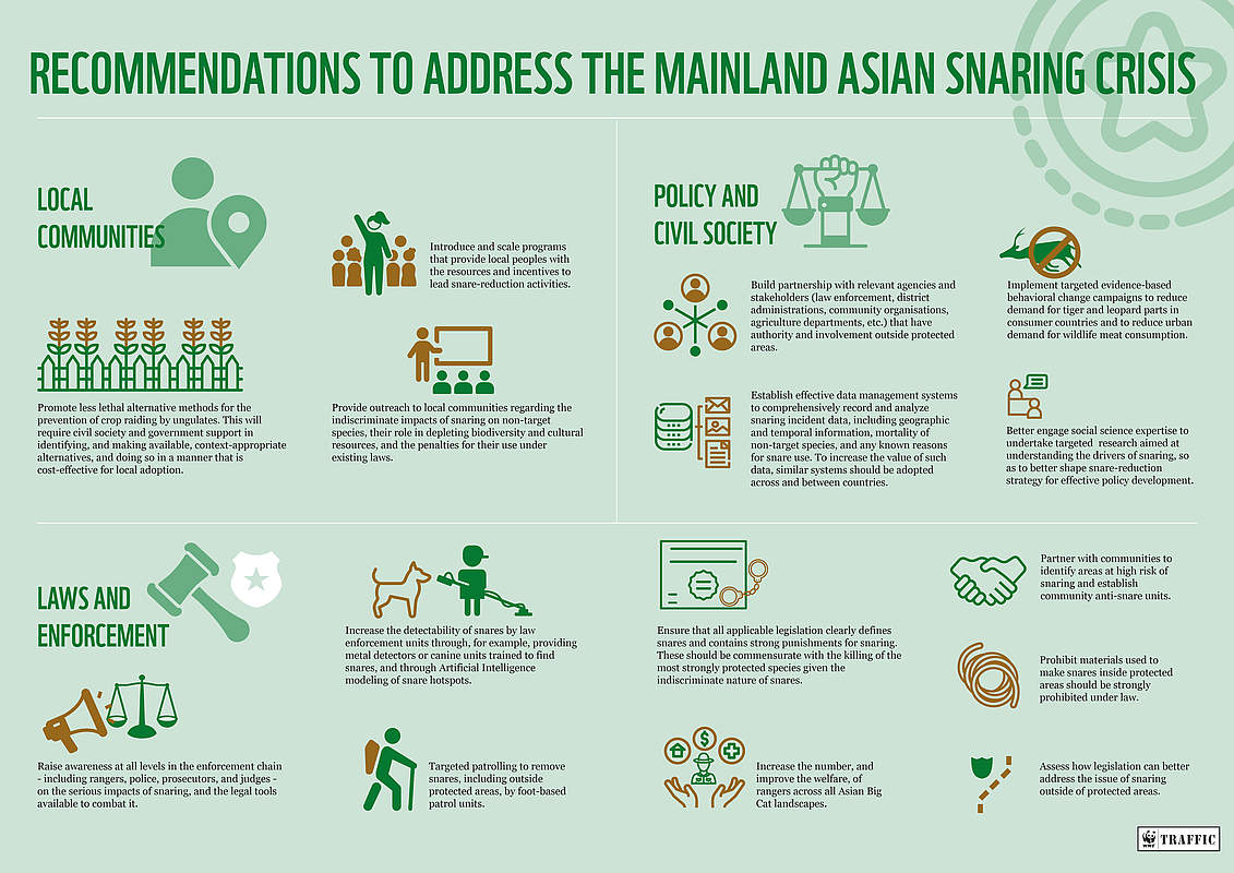 Infografik: Empfehlungen zur Eindämmung der Schlingfallenkrise © TRAFFIC / WWF