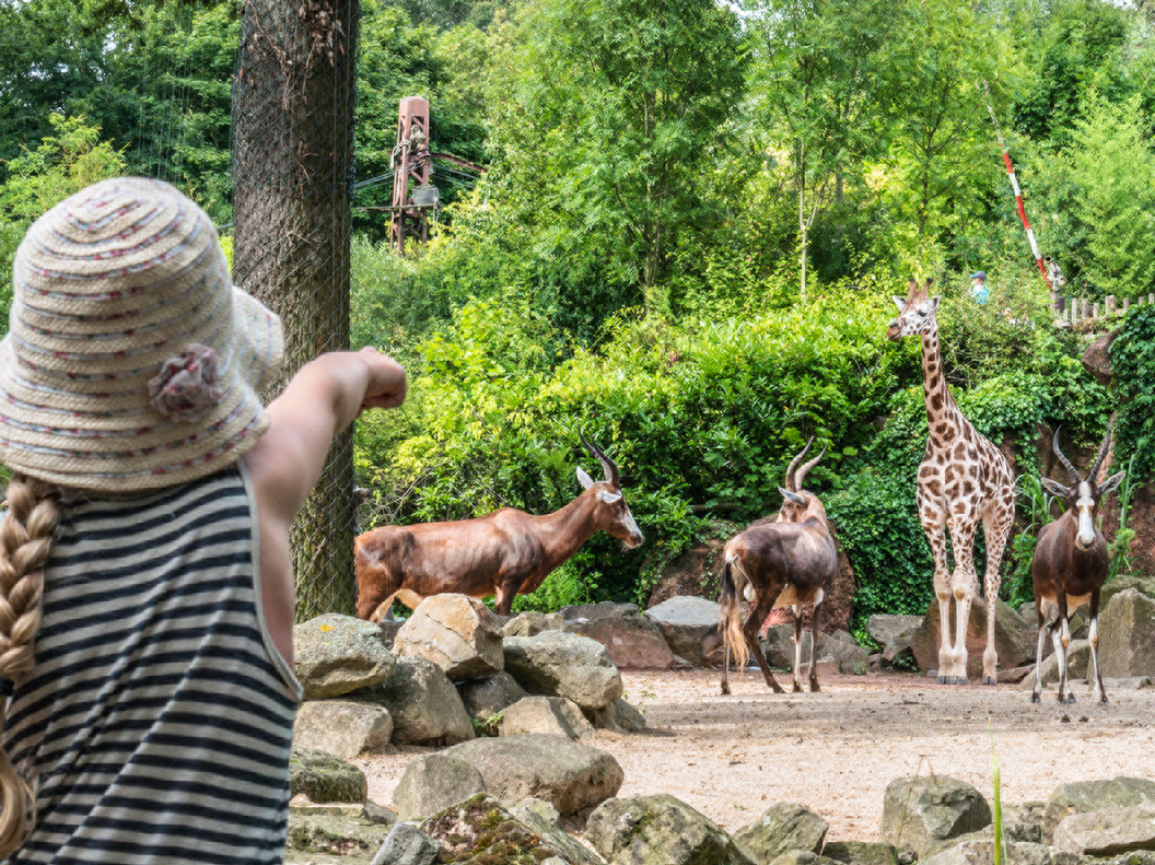 Giraffenanlage im Erlebnis-Zoo Hannover © Erlebnis-Zoo Hannover