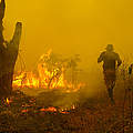 Regenwald in Flammen © Frenky Irawan / WWF Indonesien