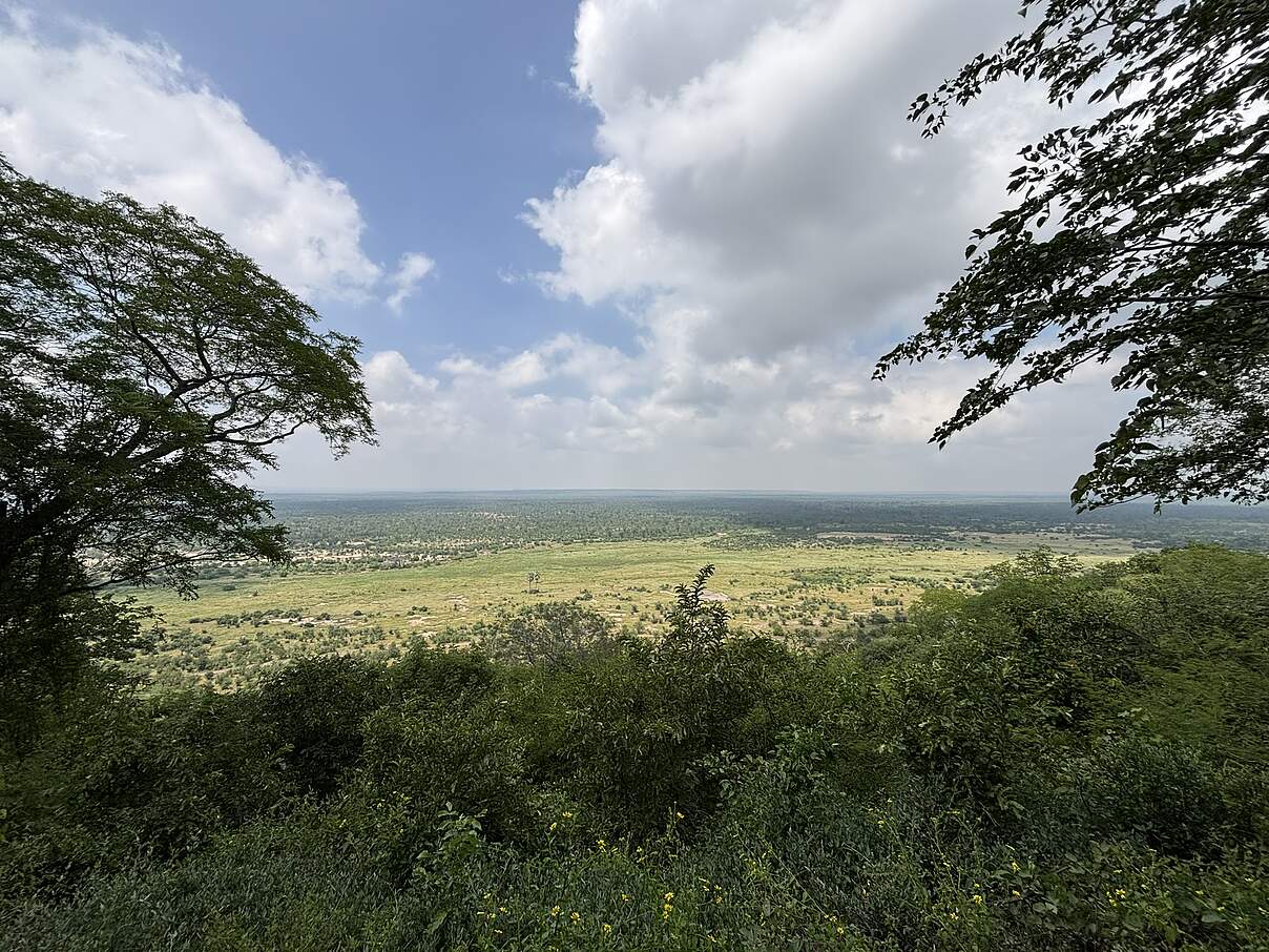 Hwange-Nationalpark zum Ende der Regenzeit.