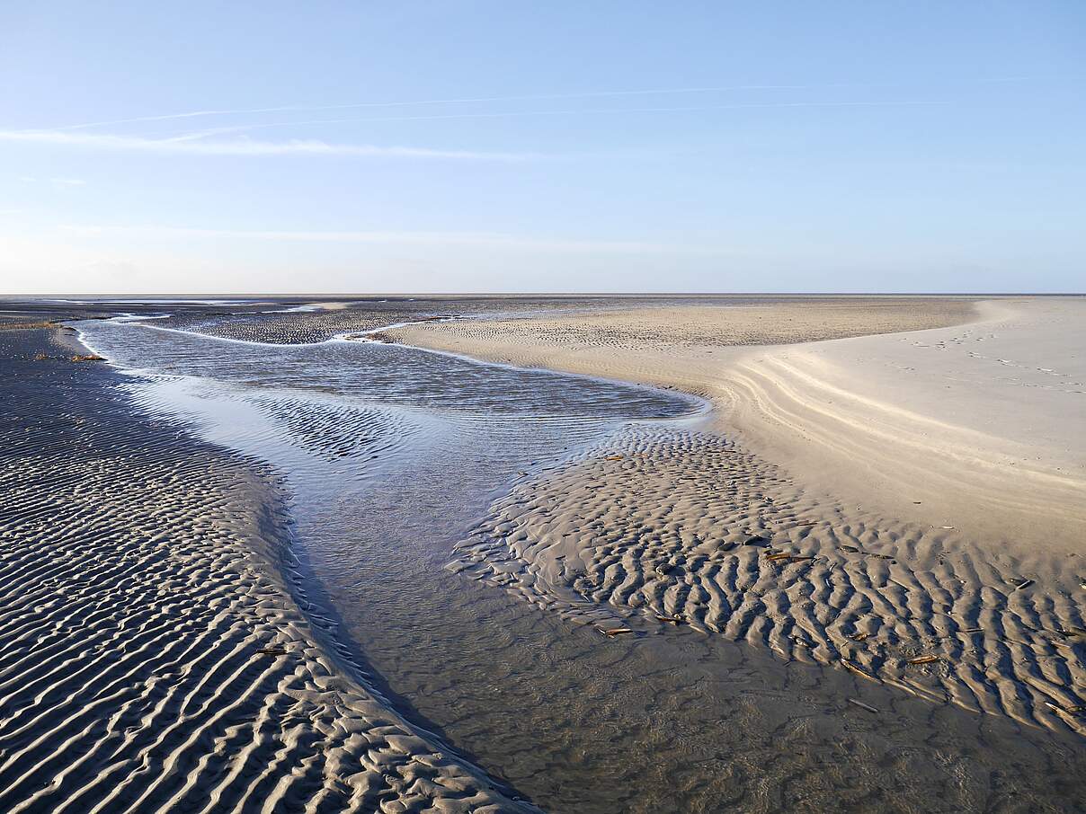 Wattlandschaft im WWF-Projektgebiet Wattenmeer