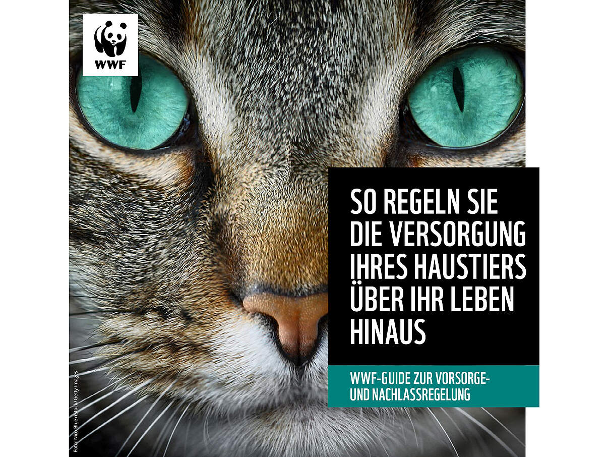 Cover des WWF Guide zur Versorgung des Haustiers