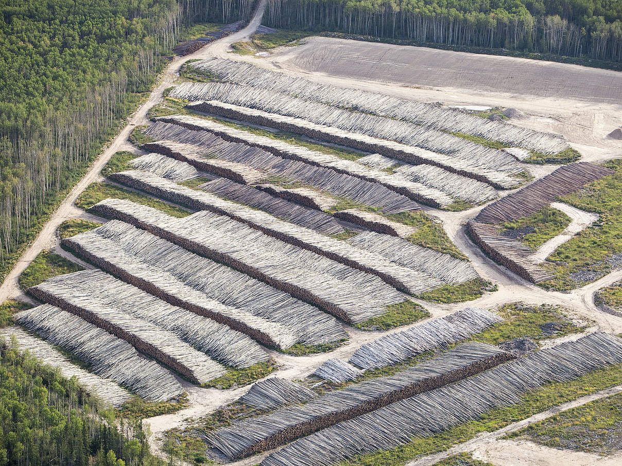 Baumfällung in Alberta, Kanada, um Platz für eine neue Teersandmine zu schaffen. © Global Warming Images / WWF