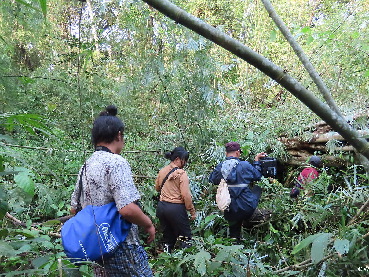 Forschungsteam kämpft sich mit wasserdichten Taschen durch das Dickicht des Waldes