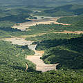 Am Amazonas wurden riesige Waldgebiete unter Schutz gestellt © Ricardo Lisboa /WWF-US