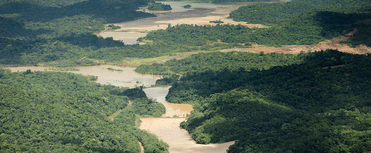 Am Amazonas wurden riesige Waldgebiete unter Schutz gestellt © Ricardo Lisboa /WWF-US