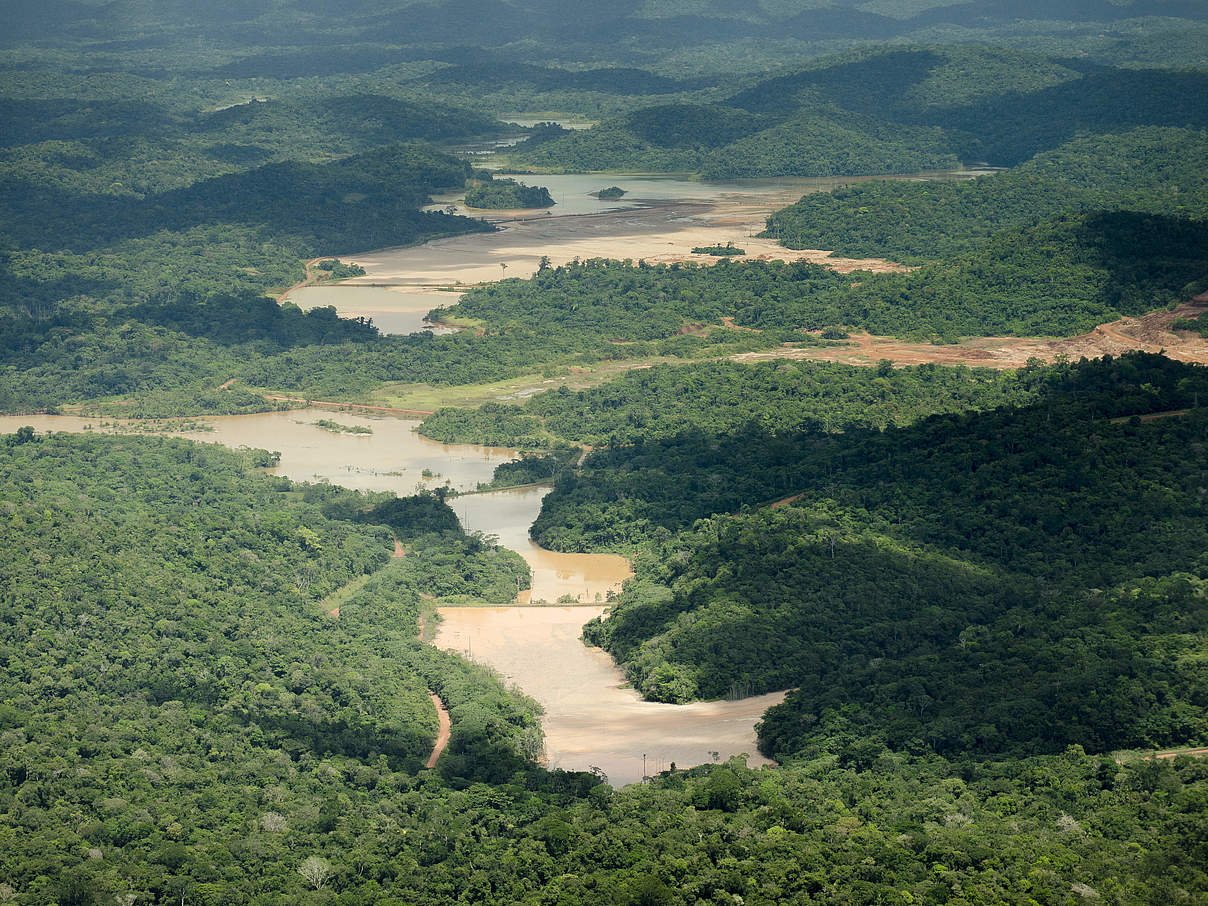 Am Amazonas wurden riesige Waldgebiete unter Schutz gestellt © Ricardo Lisboa /WWF-US