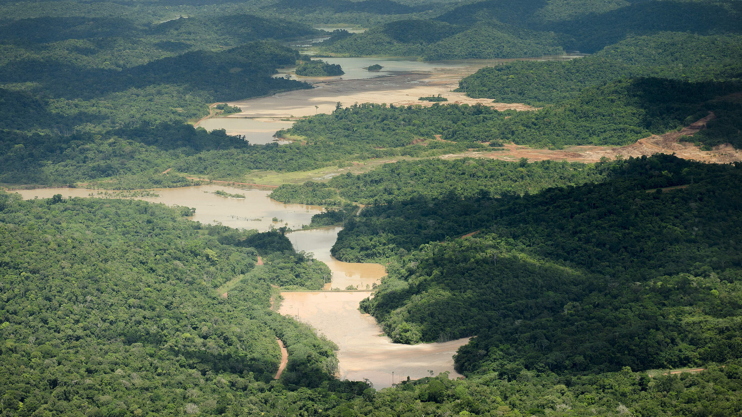 Am Amazonas wurden riesige Waldgebiete unter Schutz gestellt © Ricardo Lisboa /WWF-US