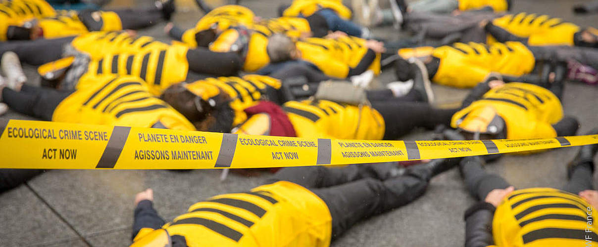 Bienen "Die In" in Paris am 4. July 2019 © Daisy Reillet WWF France