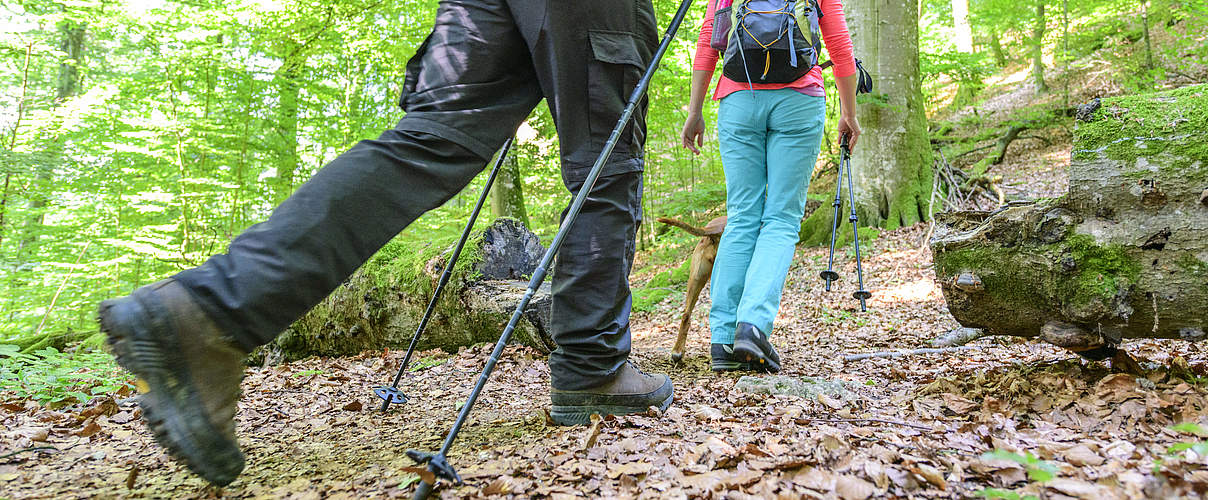 Wandern für Wald und Artenschutz © Imago / Alexander Rochau